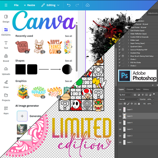 How to download from Canvapro: